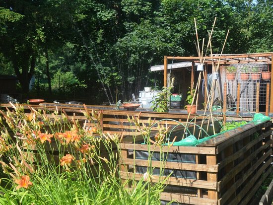 Ein sonniger Gartenbereich mit orangefarbenen Tageslilien im Vordergrund. Dahinter befindet sich ein Hochbeet aus Holzpaletten mit grünen Pflanzbögen. Im Hintergrund sind ein Holzschuppen, dichte Bäume und eine Bewässerungsanlage zu sehen, die unter blauem Himmel Wasser sprüht.